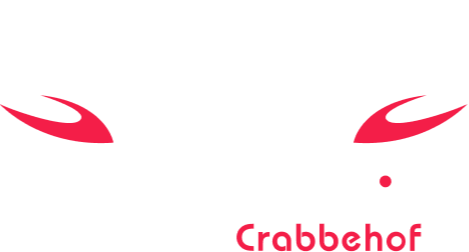 Footer Logo 1 | Autobedrijf Hassing